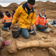 Illustration for article titled A rare, near-complete mammoth skeleton has been unearthed near Paris